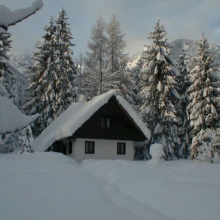 Apartmaji In Sobe Bohinjsko Jezero Уканц Экстерьер фото
